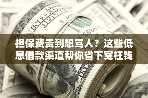 济南担保费贵到想骂人？这些低息借款渠道帮你省下冤枉钱
