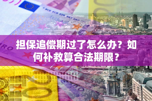 济南担保追偿期过了怎么办？如何补救算合法期限？