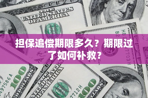 济南担保追偿期限多久？期限过了如何补救？