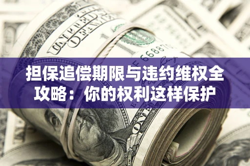 济南担保追偿期限与违约维权全攻略：你的权利这样保护